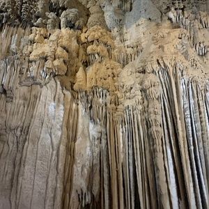 Meet your Posher, Drew